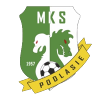 Wisla Krakow II