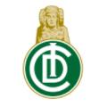 Elche CF Ilicitano