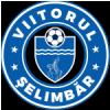 ACS Viitorul Selimbar