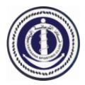 Telecom Egypt