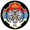 Rydalmere Lions FC