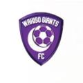 Wakiso Giants FC