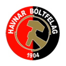 Vikingur Gotu
